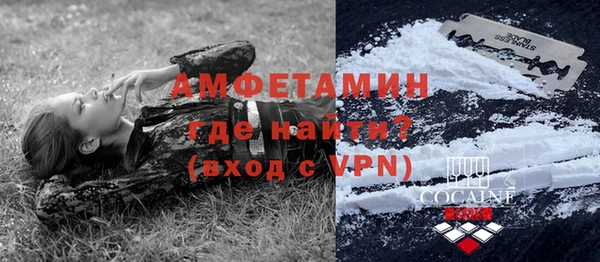 шишки Алексин