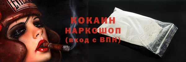 шишки Алексин