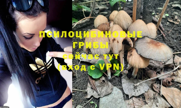 прущие крисы Алзамай
