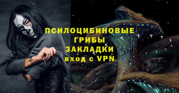 шишки Алексин