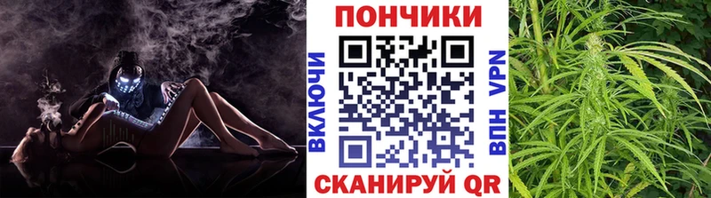 Шишки марихуана план  как найти закладки  Саянск 